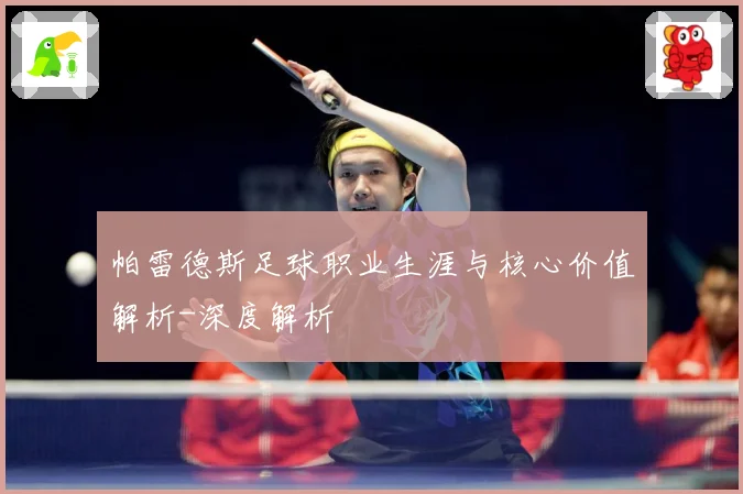 帕雷德斯足球职业生涯与核心价值解析-深度解析