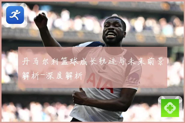 丹马尔利篮球成长轨迹与未来前景解析-深度解析